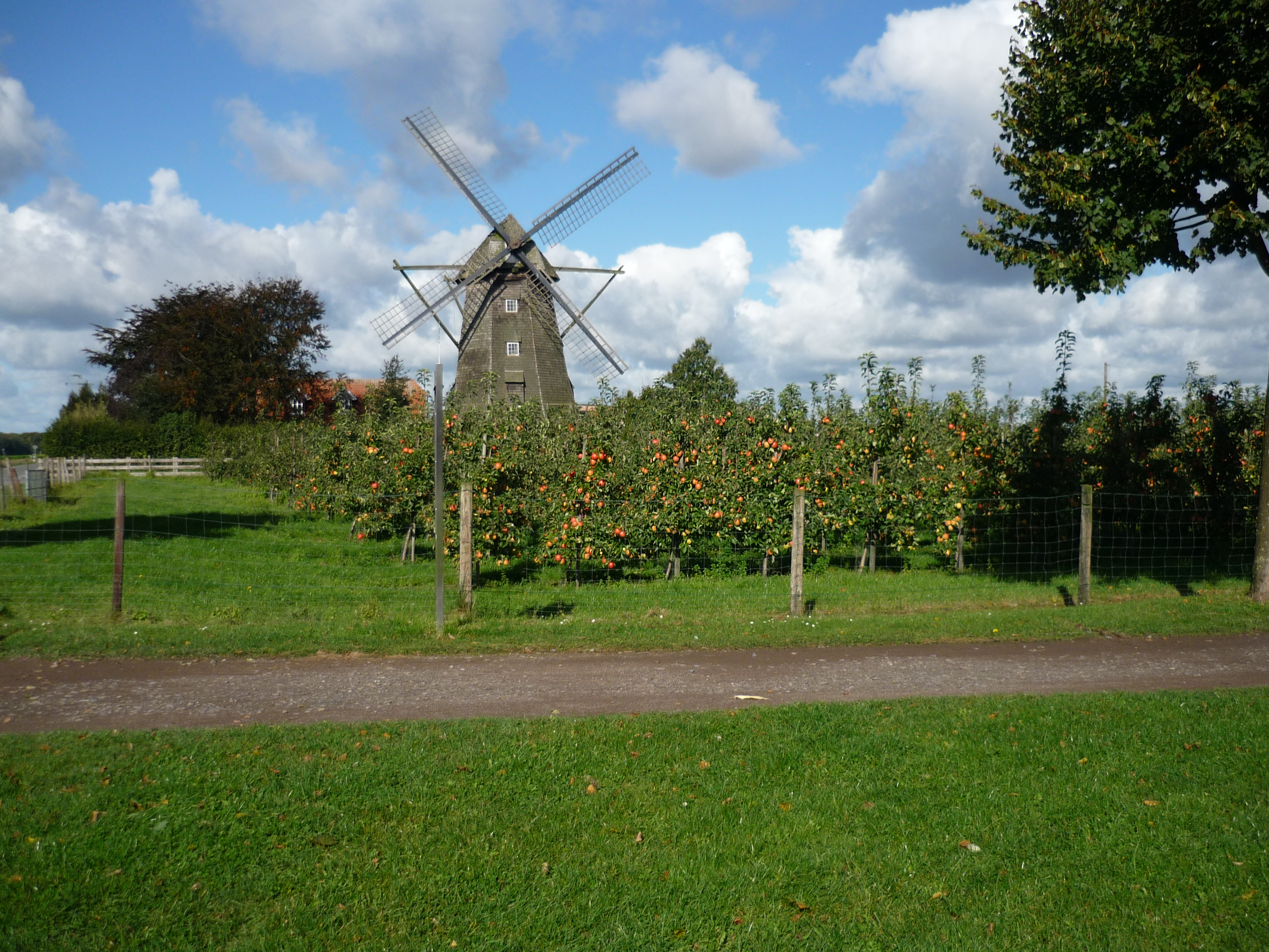 Windmühle in Lette 
