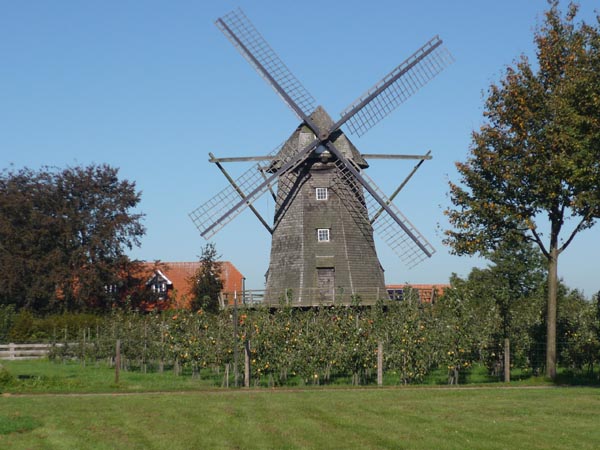 Windmühle Lette