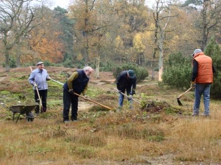 Wacholderheide Arbeitseinsatz