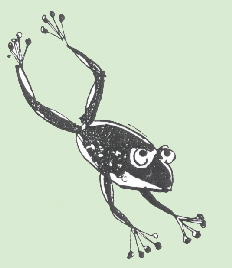 Plattdeutschgruppe Lette